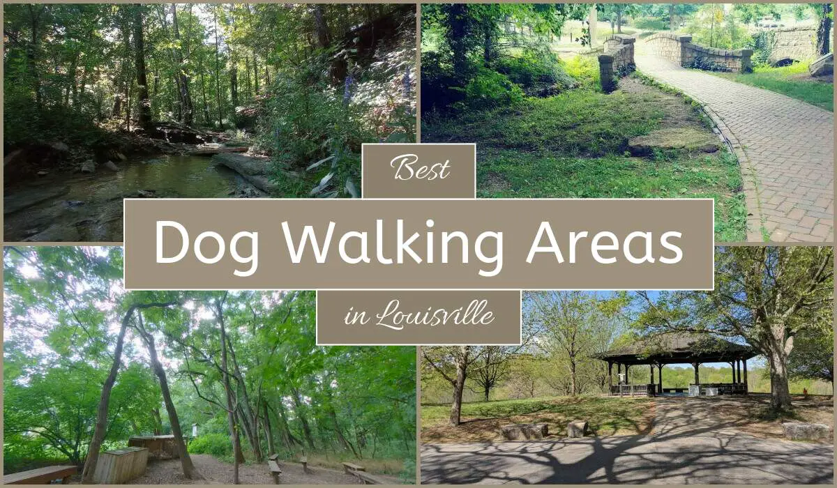 Best Dog Walking Areas In Louisville