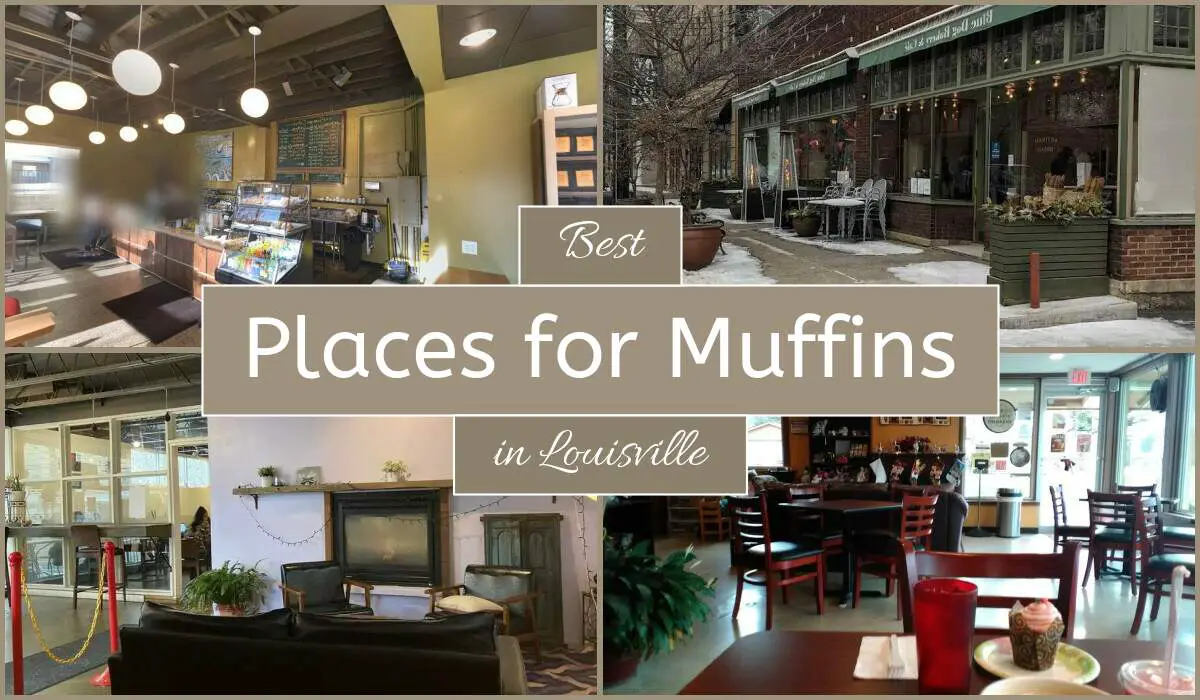 Best Places For Muffins In Louisville